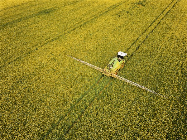 Crop protection products are applied to a rapeseed field on the outskirts of Dresden