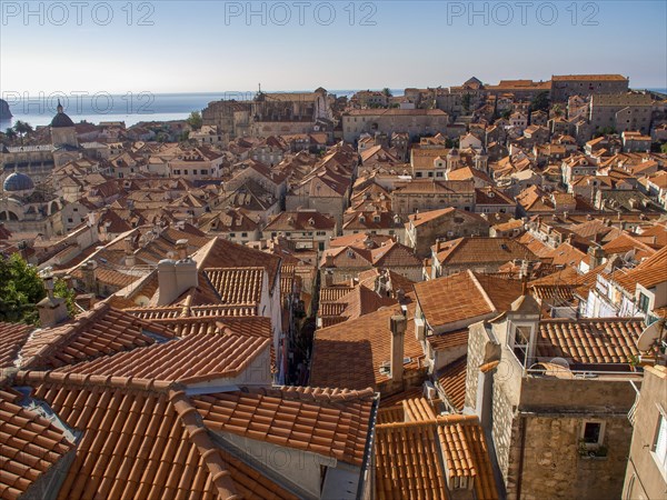 View of an urban roofscape with red tiled roofs and the sea in the background, dubrovnik, Mediterranean Sea, Croatia, Europe