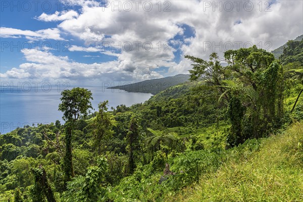 Overlook over the coastline of Taveuni, Fiji, South Pacific, Oceania