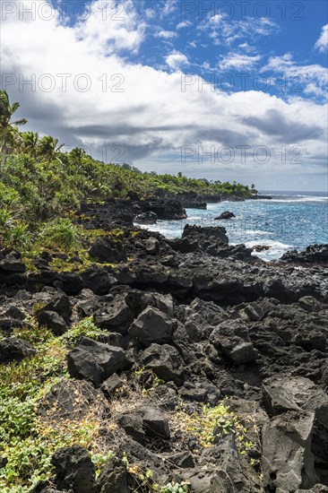 Volcanic south coast of Taveuni, Fiji, South Pacific, Oceania