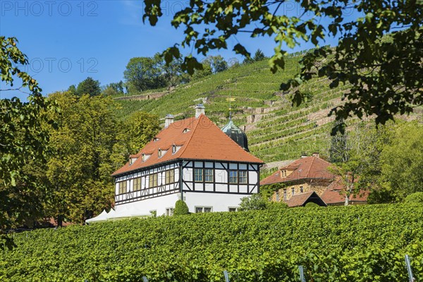 Hoflössnitz st a former Electoral Saxon, now municipal winery on the Saxon Wine Route In the 21st century, it has been converted into a museum and once again maintains a winery with a sales outlet and taproom