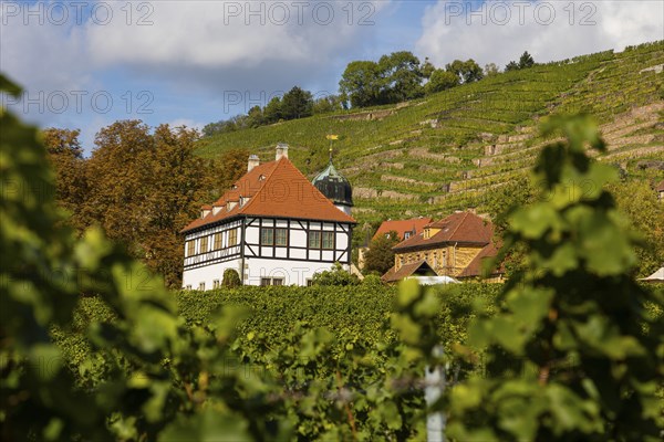 In electoral and royal Saxon times, the estate, as a country seat of the Saxon line of the Wettin dynasty, was the centre of Saxon court vineyard ownership for almost 500 years. Today it has been developed into the Saxon Wine Museum Hoflössnitz with a sales outlet and the serving of its own wine