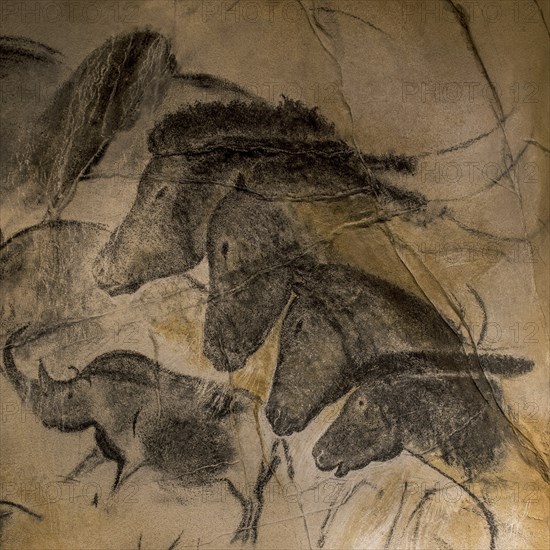 Replica of prehistoric rock paintings of the Chauvet Cave, Chauvet-Pont-d'Arc Cave, Ardèche, France, showing extinct animals woolly rhinoceros (Coelodonta antiquitatis) and wild horses, Europe