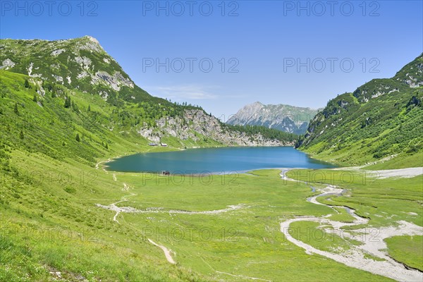 View of the Tappenkarsee, Maierkogel, mountain lake, Radstätter Tauern, landscape conservation area, Kleinarl, Pongau, Salzburg