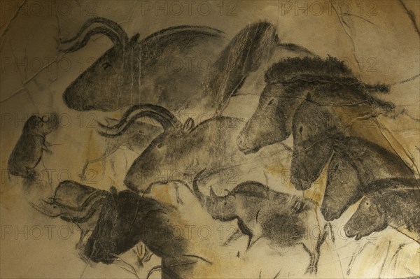 Replica of prehistoric rock paintings of the Chauvet Cave, Chauvet-Pont-d'Arc Cave, Ardèche, France, showing extinct animals woolly rhinoceros (Coelodonta antiquitatis), wild horses and aurochs (Bos primigenius) bulls, Europe