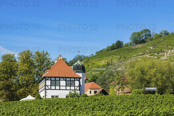 Hoflössnitz st a former Electoral Saxon, now municipal winery on the Saxon Wine Route In the 21st century, it has been converted into a museum and once again maintains a winery with a sales outlet and taproom