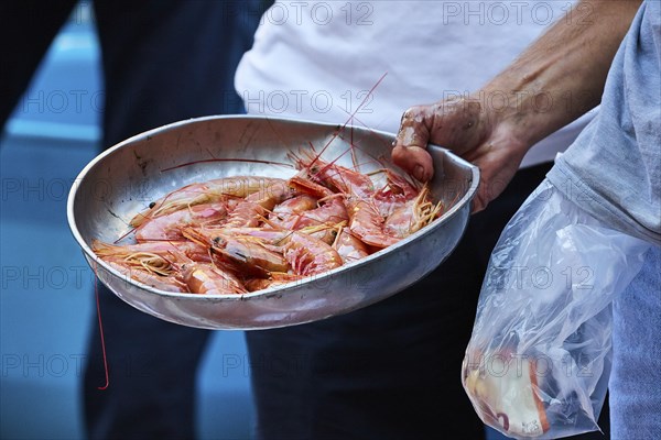 Vendor's hand holding metal bowl with prawns, detail, fish market, old town, Catania, east coast, Sicily, Italy, Europe