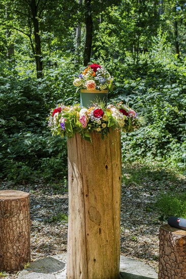 Urn burial, funeral, grave decoration, flowers, cemetery forest, memorial forest, East Frisia, Germany, Europe