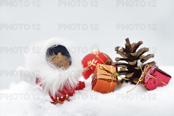 Christmas decoration, Inuit with Christmas tree ball and pine cones and Christmas presents lying in the snow