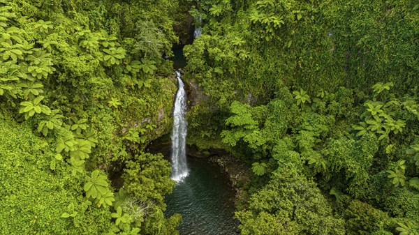 Tavoro Falls, Bouma National Park, Taveuni, Fiji, South Pacific, Oceania