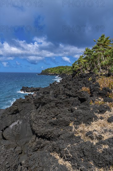 Volcanic south coast of Taveuni, Fiji, South Pacific, Oceania