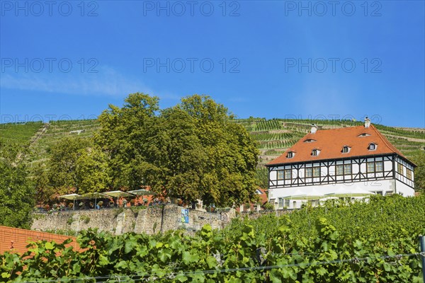 Hoflössnitz st a former Electoral Saxon, now municipal winery on the Saxon Wine Route In the 21st century, it has been converted into a museum and once again maintains a winery with a sales outlet and taproom