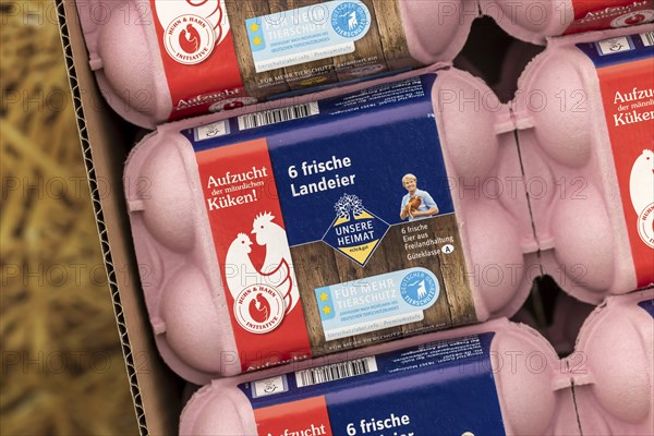 Egg box, initiative against the killing of male chicks, eggs from fair production, animal welfare, Baden-Württemberg, Germany, Europe