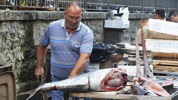 Vendor cuts up huge tuna with a cleaver, fish market, old town, Catania, east coast, Sicily, Italy, Europe