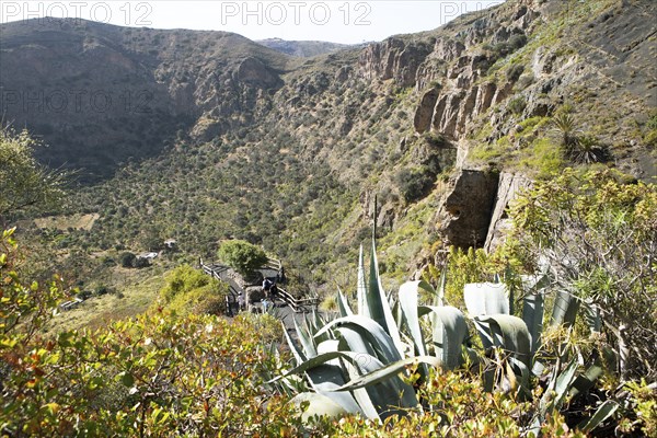 Caldera de Bandama in the Bandama Natural Park or Monumento Natural de Bandama, Las Palmas Province, Gran Canaria, Canary Islands, Spain, Europe