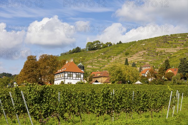 In electoral and royal Saxon times, the estate, as a country seat of the Saxon line of the Wettin dynasty, was the centre of Saxon court vineyard ownership for almost 500 years. Today it has been developed into the Saxon Wine Museum Hoflössnitz with a sales outlet and the serving of its own wine