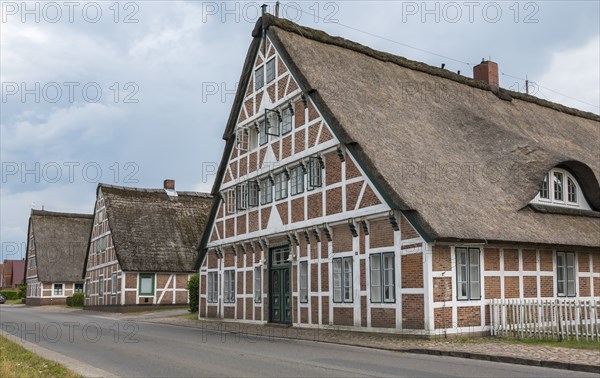 Street with historic thatched half-timbered farm houses, Altländer Bauernhäuser, Altes Land, Lower Saxony, Germany, Europe