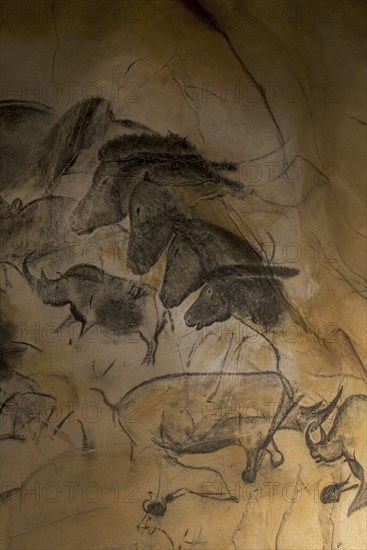 Replica of prehistoric rock paintings of the Chauvet Cave, Chauvet-Pont-d'Arc Cave, Ardèche, France, showing extinct animals woolly rhinoceros (Coelodonta antiquitatis), wild horses and aurochs (Bos primigenius) bulls, Europe