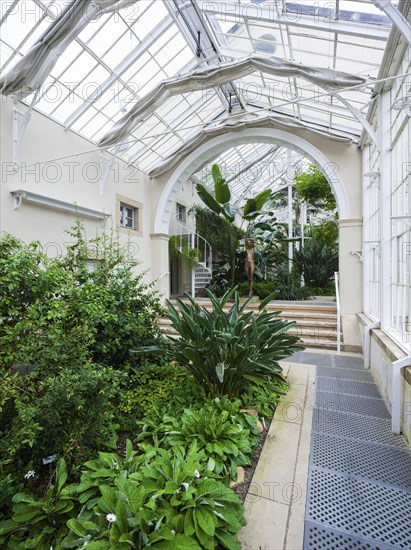 Palm House in Pillnitz Palace Park