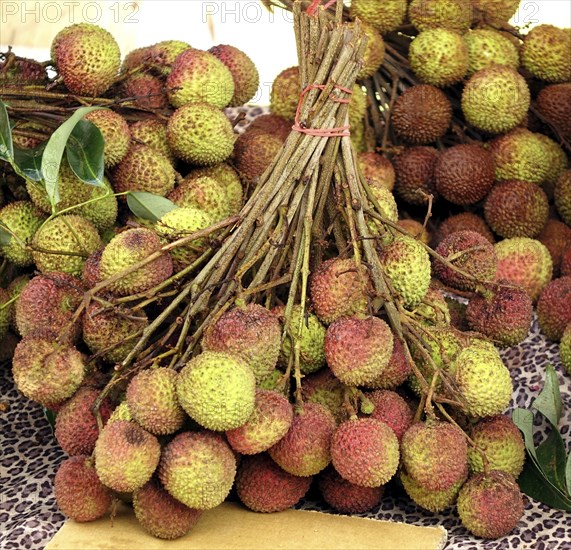 Bundles of fresh lychee fruit are sold at an outdoor market