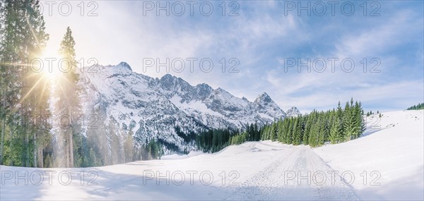 Panoramic winter scene with snow-capped mountains, the green fir forests and a road through a thick layer of snow, under the December sun, in Ehrwald, Austria, Europe