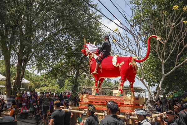 A boy sits on a bull, on the way to the cremation site, at a ngaben (cremation of corpses), Ubud, Bali, Indonesia, Asia