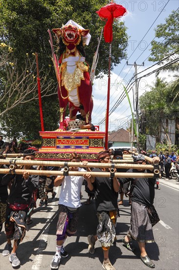 A bull on the way to the cremation site, at a ngaben (corpse cremation), Ubud, Bali, Indonesia, Asia