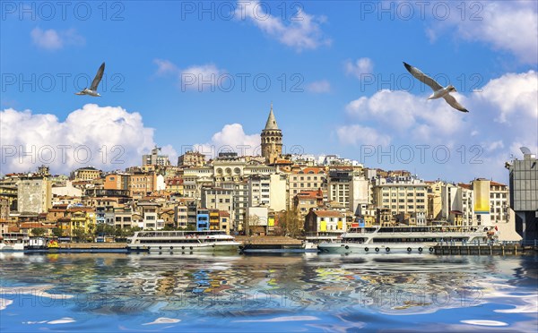 Seagulls over Golden Horn with the view on Galata Tower and Istanbul