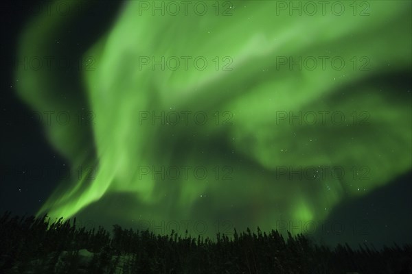 Aurora Borealis, Northern Lights, at Yellowknife, Northwest Territories, Canada, North America