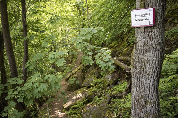 Impressions from the Bodetal Harz