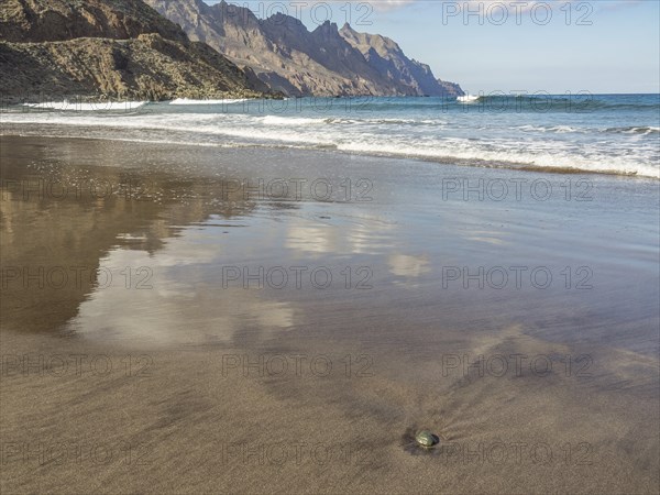 Tidal beach with surrounding mountains and calm sea, waves, clouds reflected in the wet sand, tenerife, canary islands, spain