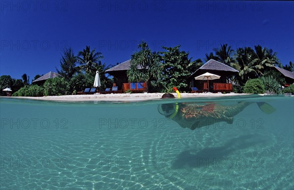 Snorkelling on the beach in front of the resort, Indonesia, Wakatobi Dive Resort, Sulawesi, Indian Ocean, Banda Sea, Asia