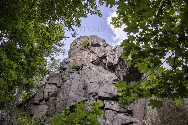 Impressions from the Bodetal Harz