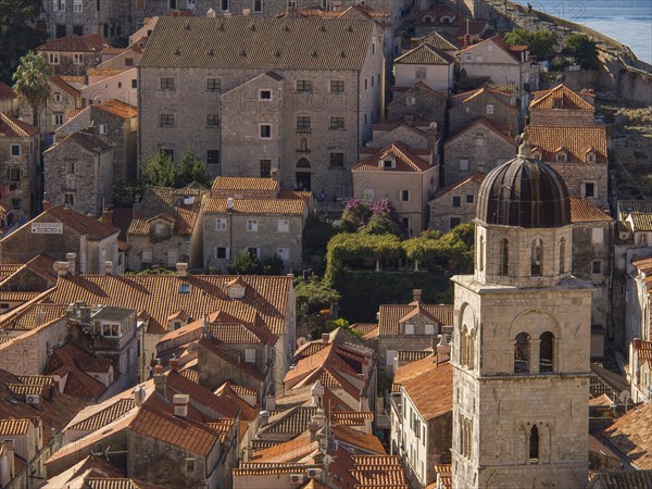 A church tower rises above the red roofs of a historic town by the sea, Dubrovnik, Mediterranean, Croatia, Europe