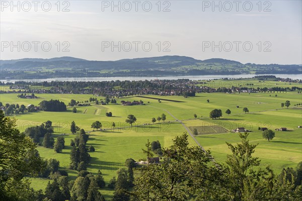 View of the Landscape and Forggensee Lake from Neuschwanstein Castle in Fuessen