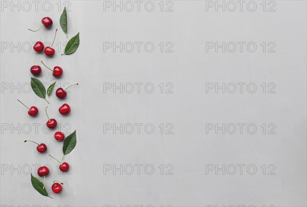 Flat lay top view on gray concrete background with sweet cherry berries and green leaves. Freshness, summer conceptual minimal background. Eco, bio farm food and fruits concept with copy space area