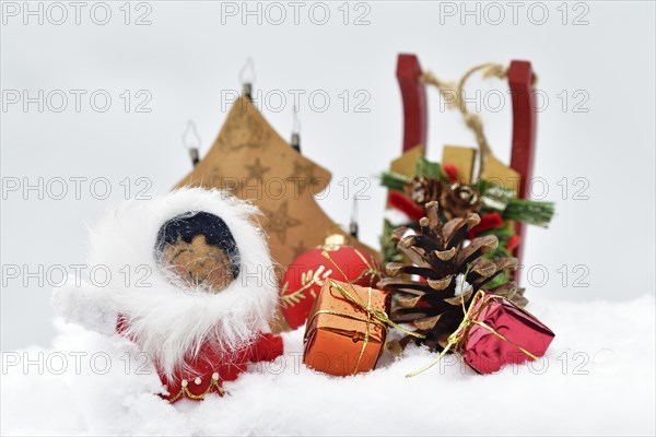 Christmas decoration, Inuit with sleigh and Christmas tree ball and pine cones and Christmas presents lying in the snow