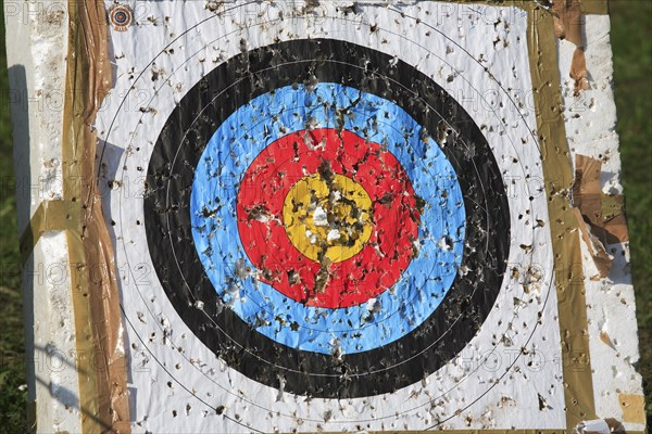 Sport, shot target during archery