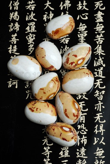 Japanese Soya beans (Glycine max) , from Hokkaido, bean, beans Soja, characters