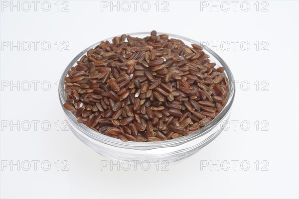 Red rice, Camargue rice from France, rice variety with a red bran layer, usually offered as brown rice, wholemeal product, the rice gets its red colour from the anthocyanin content in its bran layer