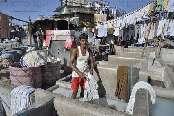 Washer at Dhobi Ghat, a central laundromat, open air wash pens, Mumbai, Maharashtra, India, Asia