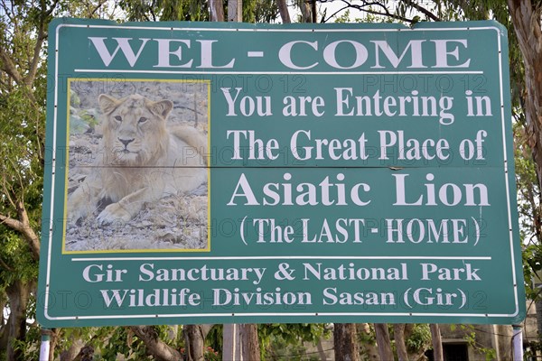 Picture of an Asiatic Lion on a sign at the entrance to the Gir National Park, Gir Forest National Park, Gir Sanctuary, Sasan Gir, Gujarat, India, Asia