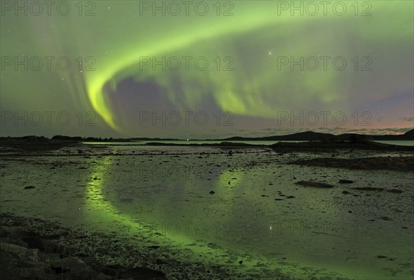 Northern lights (aurora borealis) cover the sky and are reflected in the water of a fjord, Alstahaug, coastal road 17, Nordland, Norway, Europe