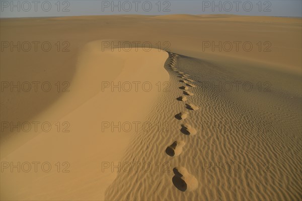 Footprints on a dune in the Nubian Desert in Dongola, Northern, Nubia, Sudan, Africa