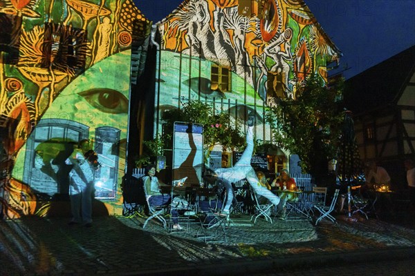 Midsummer Night's Dreams Projections by Claudia Reh, Florian Meyer, violin, Norbert Kegel dances together with Mu-Yi Chen in the play of colours and lights