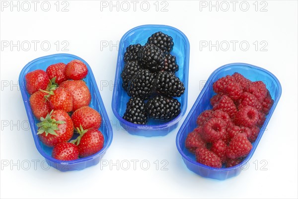 Raspberries (Rubus idaeus) Strawberries, Rubus fruticosus (Rubus fruticosus) in shells (Fragaria x ananassa)