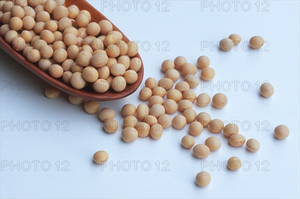 Soya beans, soya bean