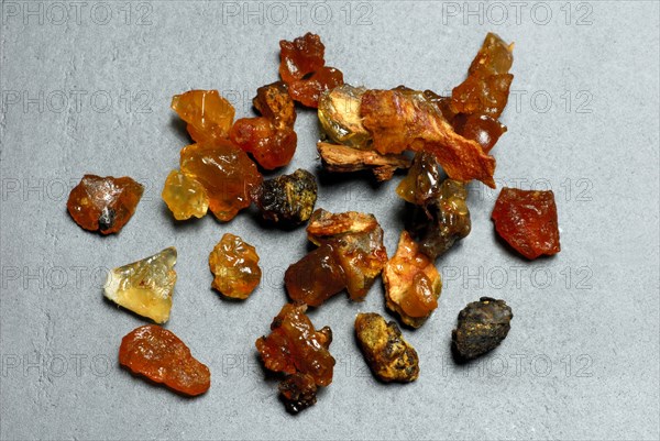 Commiphora habessinica-tree resin (Commiphora abyssinica), incense burning