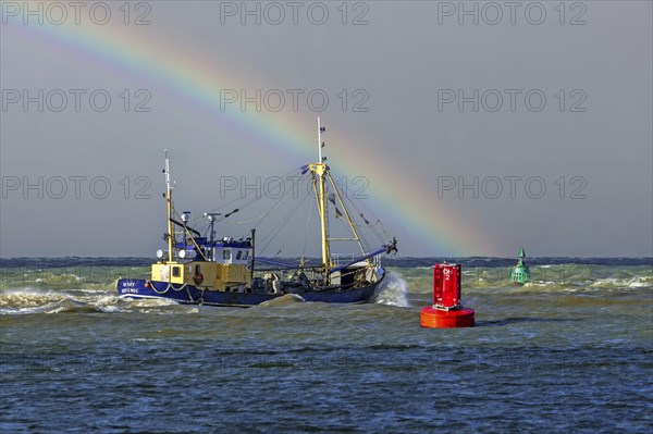 Shrimp cutter 0. 191 Romy leaving the Ostend port to go bottom trawling for shrimps along the North Sea coast on a stormy day, Belgium. Digitally added rainbow