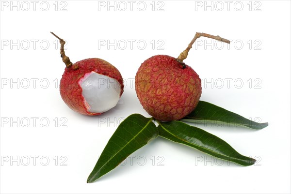 Lychee-Fruit (Litchi chinensis)